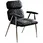 dinning chair dining chairs dining room chairs modern dining chairs leather dining chairs